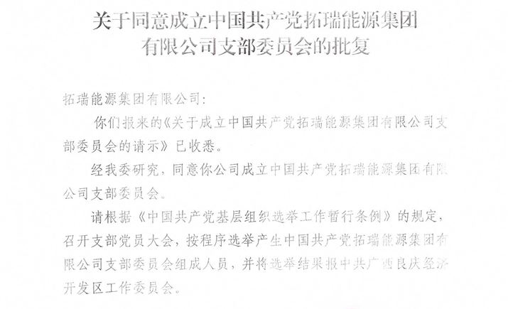 优发国际能源集团党支部正式成立！