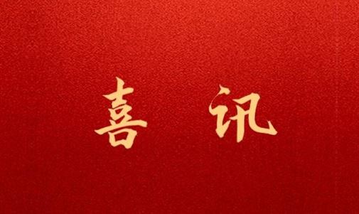 中国（广西）自由贸易试验区钦州港片区招商服务中心与优发国际能源集团签订战略合作框架协议